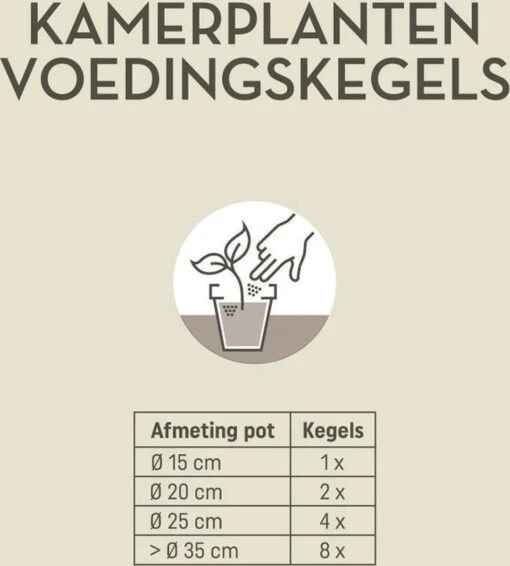 Pokon Kamerplanten Voedingskegels - 2x10st - Plantenvoeding - 6 Maanden Voeding -Tuinwerk Verkoop