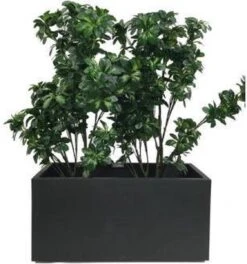 Elho Vivo Matt Finish Lang Wielen 90 - Grote Staande Plantenbak Voor Binnen & Buiten - Gemaakt Van Gereycled Plastic - L 39 X W 88 X H 41 Cm - Zwart -Tuinwerk Verkoop 1124x1200 2