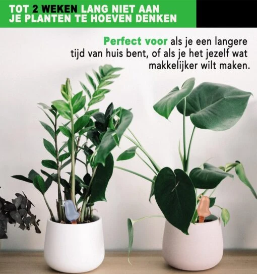 Waterdruppelaar Voor Planten 2 Stuks - Waterbol Kamerplanten - Automatisch Watergeefsysteem - Vogel - Blauw -Tuinwerk Verkoop