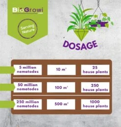 Stenema 100m² | Aaltjes Tegen Rouwvliegjes | Tegen Larven Van Rouwvliegen | Rouwvliegjes Bestrijden | Varenrouwmuggen | In Planten | 100% Natuurlijke Biologische Bestrijding -Tuinwerk Verkoop 1138x1200 7