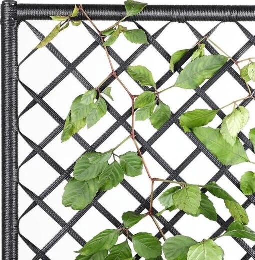 Casaria Polyrattan Plantenbak - Met Klimoprek - 3 Bakken Zwart -Tuinwerk Verkoop 1174x1200 5