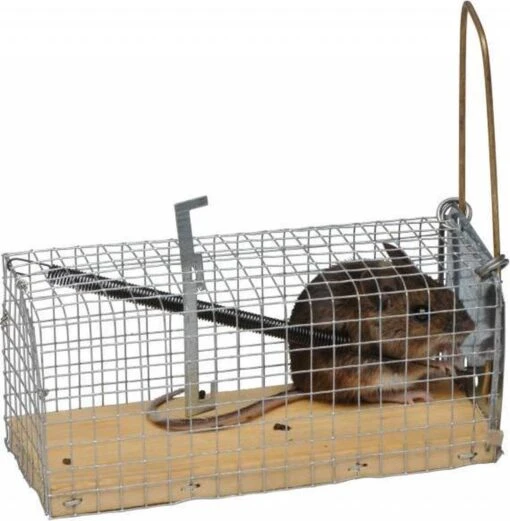 Merkloos Vangkooi Muis Houten Bodem -Tuinwerk Verkoop 1175x1200 3