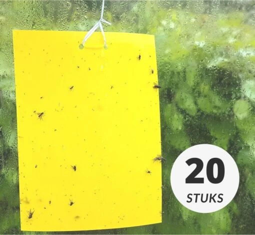 Gele Lijmvallen 20 Stuks Vangplaten, Vangkaarten Tegen Insecten Zoals Rouwvliegjes, Trips, Witte Vlieg, Bladluis En Mineervliegen Geschikt Voor Binnen, Buiten, Kweektent Of Kas -Tuinwerk Verkoop 1200x1104 6