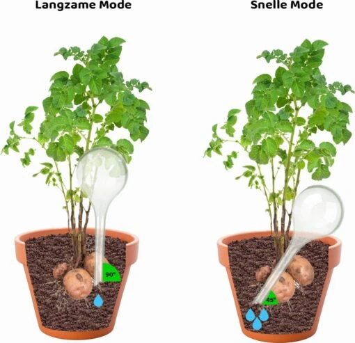 Druppelsysteem 12 Stuks Waterdruppelaar Voor Planten - Waterafgiftesysteem Voor 2 Weken - Beregening Voor Kamerplanten -Tuinwerk Verkoop 1200x1161 1