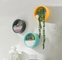 Ronde Muur Plantenbak Zwart - Decoratie - Planten - Interieur - Bloemen - Woondecoratie - Muurbekleding - -Tuinwerk Verkoop 1200x1167 2