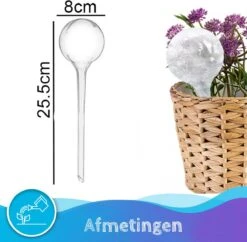 Summer Spark Waterdruppelaar Voor Planten 6 Stuks Transparant – 27 CM X 8 CM – 250 ML – Automatisch Watergeefsysteem Voor Kamerplanten – Planten Watergever Met Druppelsysteem – Waterbol -Tuinwerk Verkoop 1200x1175