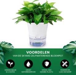 SKYARD® 3 Stuks Zelfwaterende Bloempot Maat M – Milieuvriendelijk Watergeefsysteem Kamerplanten – Zelfwatergevende Pot – Bloempot Met Waterreservoir – Selfwatering Pot – Wit -Tuinwerk Verkoop 1200x1183 1