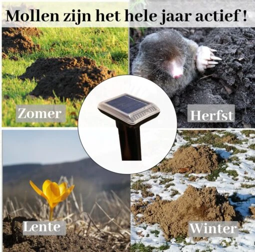 Sedeve Mollenverjager Op Zonne Energie –Mollenverjager – Muizenverjager – Ultrasone-verjager – Bereik Van 150 M2 - Set Van 2 Stuks -Tuinwerk Verkoop 1200x1186 8