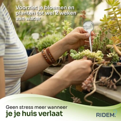 Waterdruppelaar Voor Planten - Irrigatiesysteem- Waterbol - Druppelsysteem - Watergeefsysteem Voor Kamerplanten - Plantenwatergever -6 Stuks - Transparant -Tuinwerk Verkoop 1200x1198 10