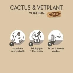 Pokon Bio Cactus & Vetplant Voeding - 250ml - Plantenvoeding (bio) - 7ml Per 1L Water -Tuinwerk Verkoop 1200x1198