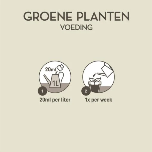 Pokon Groene Planten Voeding - 500ml - Plantenvoeding - 20ml Per 1L Water -Tuinwerk Verkoop 1200x1198 6