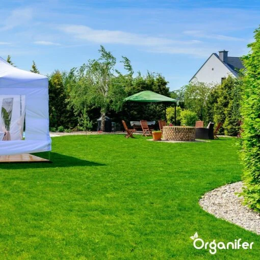 Gazonmest All-In-One (10Kg - Voor 200m2) Voor Een Diepgroen Sterk Gazon Zonder Mos En Onkruid - Complete Meststof Met Kalk En Grasversterker - Organifer -Tuinwerk Verkoop 1200x1200 110