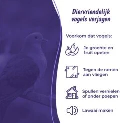 Merkloos Duivenverjager - Vogelverjager - Duivenwering - Vogelverschrikker - Geluid Door Beweging - Reiger - Kraai - Holografisch Duiven Lint - Reigerverschrikker - Alternatief Voor Duivenpinnen Of Vogelnet - Diervriendelijk - 80m Tape -Tuinwerk Verkoop 1200x1200 1118