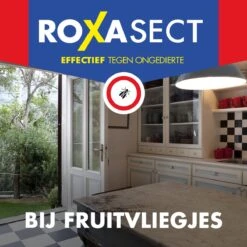 Roxasect Fruitvliegjes Ongedierteval - Anti-fruitvliegjes Insectenval - Fruitvliegjes Vanger - 2 Stuks -Tuinwerk Verkoop 1200x1200 1149