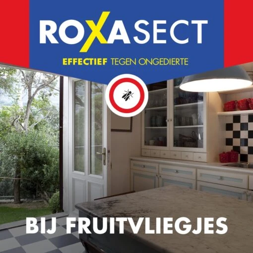 Roxasect Fruitvliegjes Ongedierteval - Anti-fruitvliegjes Insectenval - Fruitvliegjes Vanger - 2 Stuks -Tuinwerk Verkoop 1200x1200 1149