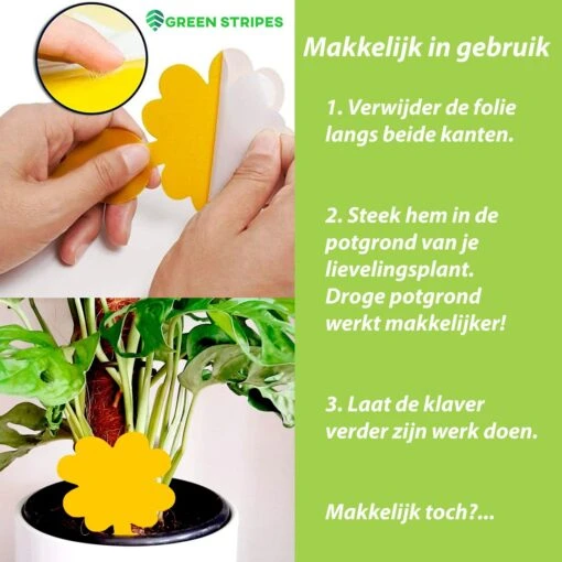 Plak Klavertjes Tegen Rouwvliegjes 15 Stuks - Rouwvliegjes Bestrijden - Varenrouwmug - Plakstrips - Vangkaarten - Vangplaten - Insectenval - Insectenvanger -Tuinwerk Verkoop 1200x1200 1168