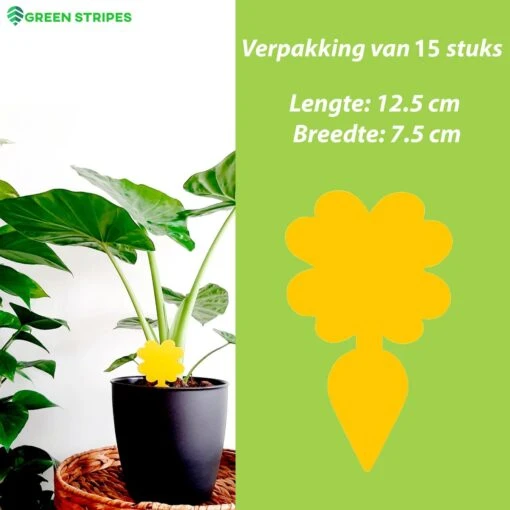 Plak Klavertjes Tegen Rouwvliegjes 15 Stuks - Rouwvliegjes Bestrijden - Varenrouwmug - Plakstrips - Vangkaarten - Vangplaten - Insectenval - Insectenvanger -Tuinwerk Verkoop 1200x1200 1169