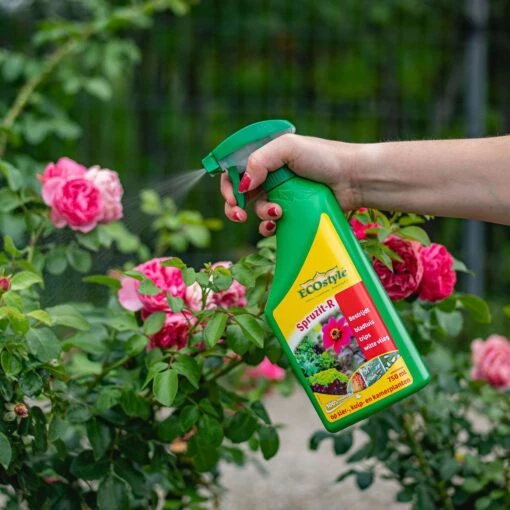 ECOstyle Spruzit-R Insecten Bestrijdingsmiddel Spray - Bladluis, Trips, Witte Vlieg - 100% Plantaardig - Binnen & Buiten - Gebruiksklaar - 750 ML -Tuinwerk Verkoop 1200x1200 1219