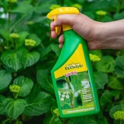 ECOstyle LuisVrij Bladluizen Bestrijdingsmiddel Voor Sierplanten, Groente En Fruit - 100% Plantaardig , Snel En Effectief - Bestrijdt Insecten, Luizen En Witte Vliegen - 750 ML -Tuinwerk Verkoop 1200x1200 1232