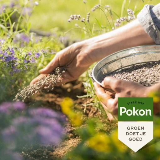 Pokon Tuinmest - 1kg - Meststof - 3-in-1 Werking -Tuinwerk Verkoop 1200x1200 126