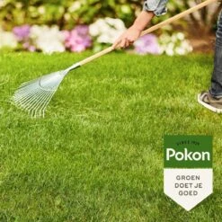 Pokon Gazonmest Met Kalk - 2kg - Mest - Geschikt Voor 30m² - 120 Dagen Voeding -Tuinwerk Verkoop 1200x1200 131