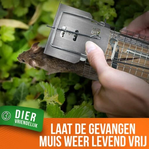 Strex Muizenval Voor Binnen En Buiten - Diervriendelijk - Levende Val - 2 Stuks -Tuinwerk Verkoop 1200x1200 1409