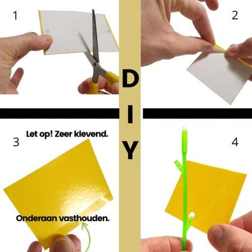 Aniway® - Fruitvliegjes Vanger - 40 Stuks (20 X 2) - Rouwvliegjes Bestrijden - Rouwvliegjes - Sterke Kleefkracht - Voor Buiten En Binnen -Tuinwerk Verkoop 1200x1200 1444