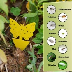 Merkloos Rouwvliegjes Bestrijden - Fruitvliegjes Vanger - Varenrouwmug Bestrijden - Vliegenvanger - Plak Klavertjes Tegen Rouwvliegen - Vangplaten - 12 Stuks -Tuinwerk Verkoop 1200x1200 1478