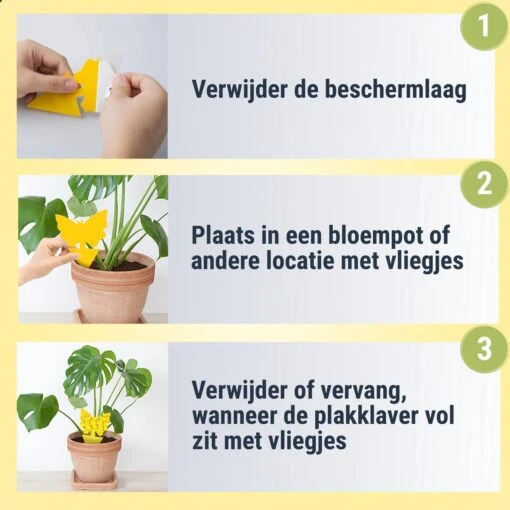 Professor Q - Rouwvliegjes Bestrijden - Fruitvliegjes Vanger - Varenrouwmug Bestrijden - Vliegenvanger - Plak Klavertjes Tegen Rouwvliegen - Vangplaten - 3 Stuks Vlinders -Tuinwerk Verkoop 1200x1200 1492