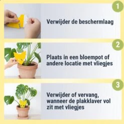 Professor Q - Rouwvliegjes Bestrijden - Fruitvliegjes Vanger - Varenrouwmug Bestrijden - Vliegenvanger - Plak Klavertjes Tegen Rouwvliegen - Vangplaten - 60 Stuks Vlinders -Tuinwerk Verkoop 1200x1200 1507