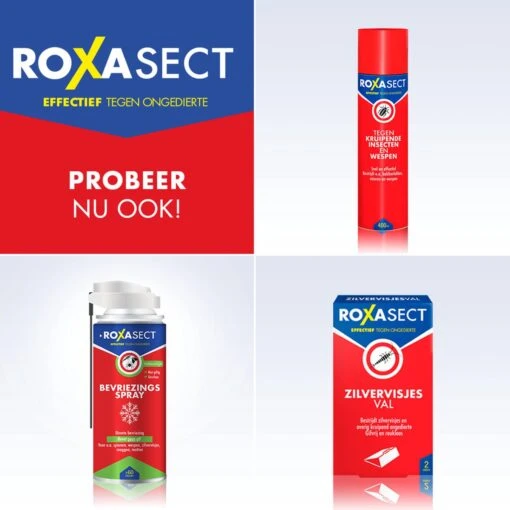 Roxasect Spray Tegen Vlooien - Ongediertewering - 300 Ml -Tuinwerk Verkoop 1200x1200 1517