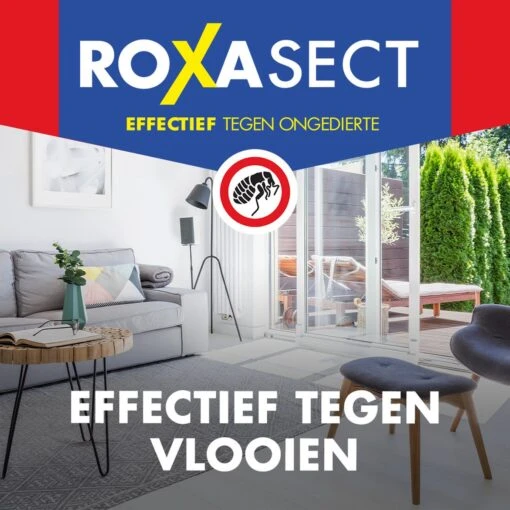 Roxasect Spray Tegen Vlooien - Ongediertewering - 300 Ml -Tuinwerk Verkoop 1200x1200 1518