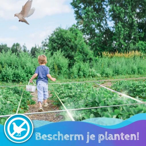 Summer Spark Vogel Afschrik Lint 80 Meter - Duivenverjager - Holografisch Vogelverjager - Vogelverschrikker – Reigerverschrikker – Duivenwering – Alternatief Voor Duivenpinnen En Vogelnet -Tuinwerk Verkoop 1200x1200 1623