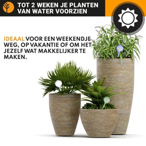 Waterdruppelaar Set Van 6 Stuks Voor Planten Transparant – 27 CM – Automatisch Watergeefsysteem Voor Kamerplanten – Planten Watergever Met Druppelsysteem – Waterbol -Tuinwerk Verkoop 1200x1200 242