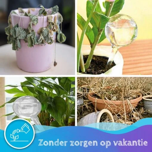 Summer Spark Waterdruppelaar Voor Planten 6 Stuks Transparant – 27 CM X 8 CM – 250 ML – Automatisch Watergeefsysteem Voor Kamerplanten – Planten Watergever Met Druppelsysteem – Waterbol -Tuinwerk Verkoop 1200x1200 262