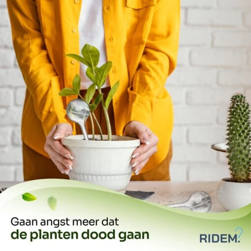 Waterdruppelaar Voor Planten - Irrigatiesysteem- Waterbol - Druppelsysteem - Watergeefsysteem Voor Kamerplanten - Plantenwatergever -6 Stuks - Transparant -Tuinwerk Verkoop 1200x1200 292