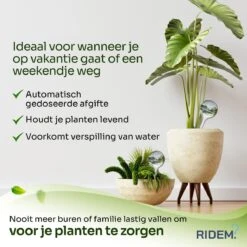 Waterdruppelaar Voor Planten - Irrigatiesysteem- Waterbol - Druppelsysteem - Watergeefsysteem Voor Kamerplanten - Plantenwatergever -6 Stuks - Transparant -Tuinwerk Verkoop 1200x1200 294