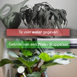 Waterdruppelaar Set Van 6 Stuks - Waterdruppelaar Voor Planten - Watergeefsysteem - Waterbol Irrigatiesysteem - Automatisch Druppelsysteem Voor Kamerplanten & Tuin - Watergever - Doorzichtig - 15cm -Tuinwerk Verkoop 1200x1200 301