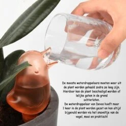 Waterdruppelaar Voor Planten 2 Stuks - Waterbol Kamerplanten - Automatisch Watergeefsysteem - Vogel - Roze -Tuinwerk Verkoop 1200x1200 308