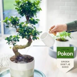 Pokon Bio Bonsai Voeding - 250ml - Plantenvoeding (bio) - 7ml Per 1L Water -Tuinwerk Verkoop 1200x1200 62