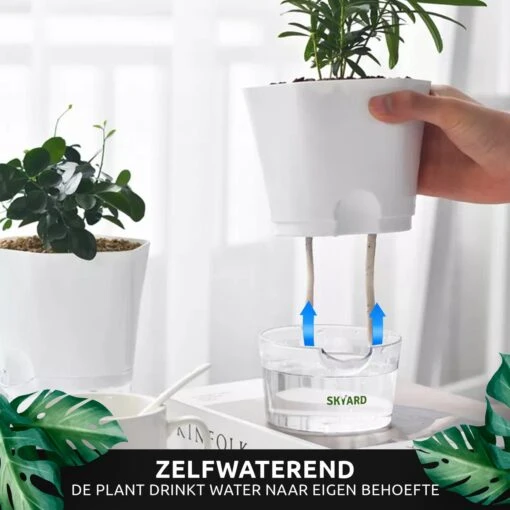 SKYARD® 3 Stuks Zelfwaterende Bloempot Maat M – Milieuvriendelijk Watergeefsysteem Kamerplanten – Zelfwatergevende Pot – Bloempot Met Waterreservoir – Selfwatering Pot – Wit -Tuinwerk Verkoop 1200x1200 668