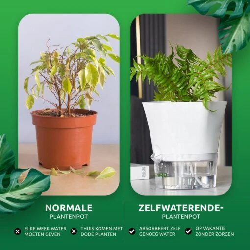 SKYARD® 3 Stuks Zelfwaterende Bloempot Maat M – Milieuvriendelijk Watergeefsysteem Kamerplanten – Zelfwatergevende Pot – Bloempot Met Waterreservoir – Selfwatering Pot – Wit -Tuinwerk Verkoop 1200x1200 669