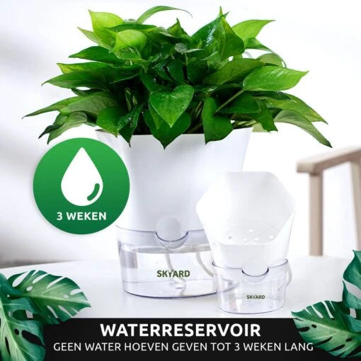 SKYARD® 3 Stuks Zelfwaterende Bloempot Maat M – Milieuvriendelijk Watergeefsysteem Kamerplanten – Zelfwatergevende Pot – Bloempot Met Waterreservoir – Selfwatering Pot – Wit -Tuinwerk Verkoop 1200x1200 673