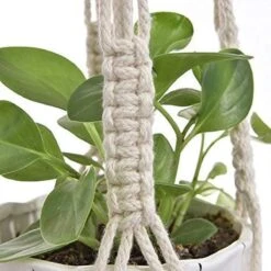 4 Stuks Plantenhangers - Boho Handgeweven Katoen Hangpot Voor Binnen/Buiten - Bloempot Met Kralen - Macramé Touw/Koord Hangplant Houder - Bohemian Wandhanger Decoratie - Verticale Tuin Plant Hanger Bloempothouder Planthanger Wit -Tuinwerk Verkoop 1200x1200 714