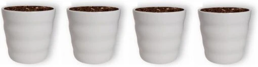 WL Plants - Bloempot Binnen - Set Van 4 - Dawn Ø12 Wit - Luxe Bloempotten Voor Binnen - Bloempotten Voor Buiten - Bloembak & Plantenpot - Hoogte 12,5 Cm - Keramisch Met Hoogwaardige Afwerking -Tuinwerk Verkoop