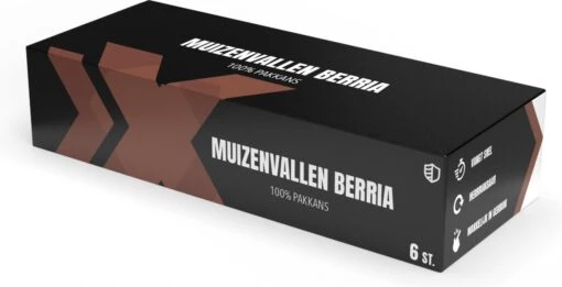 Muizenval "Berria" Set Van 6 Stuks, 100% Pakkans, Inclusief Gebruiksaanwijzing - Muizen Verjagen - Muizen Vangen - Muizenklem - Herbruikbaar - Zonder Muizengif -Tuinwerk Verkoop