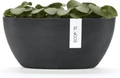 Ecopots | Sofia | Dark Grey | Binnenbloempot | 30 Cm | Ovaal -Tuinwerk Verkoop 1200x781