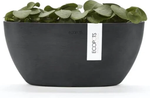 Ecopots | Sofia | Dark Grey | Binnenbloempot | 30 Cm | Ovaal -Tuinwerk Verkoop