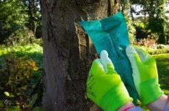 ECOstyle Lijmband Beschermt Tegen Schadelijke Insecten - Werkt Tegen Mieren, Wintervlinder, Bladluis En Meer - Weerbestendig - 2,5 M Lijmband & 6 M Touw -Tuinwerk Verkoop 1200x794 3