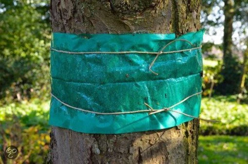 ECOstyle Lijmband Beschermt Tegen Schadelijke Insecten - Werkt Tegen Mieren, Wintervlinder, Bladluis En Meer - Weerbestendig - 2,5 M Lijmband & 6 M Touw -Tuinwerk Verkoop 1200x794 5